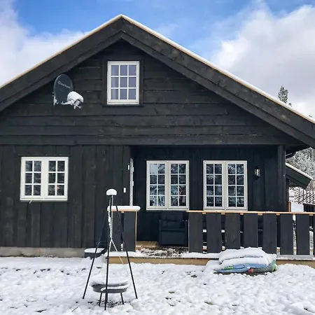Four-bedroom Holiday In Tisleidalen